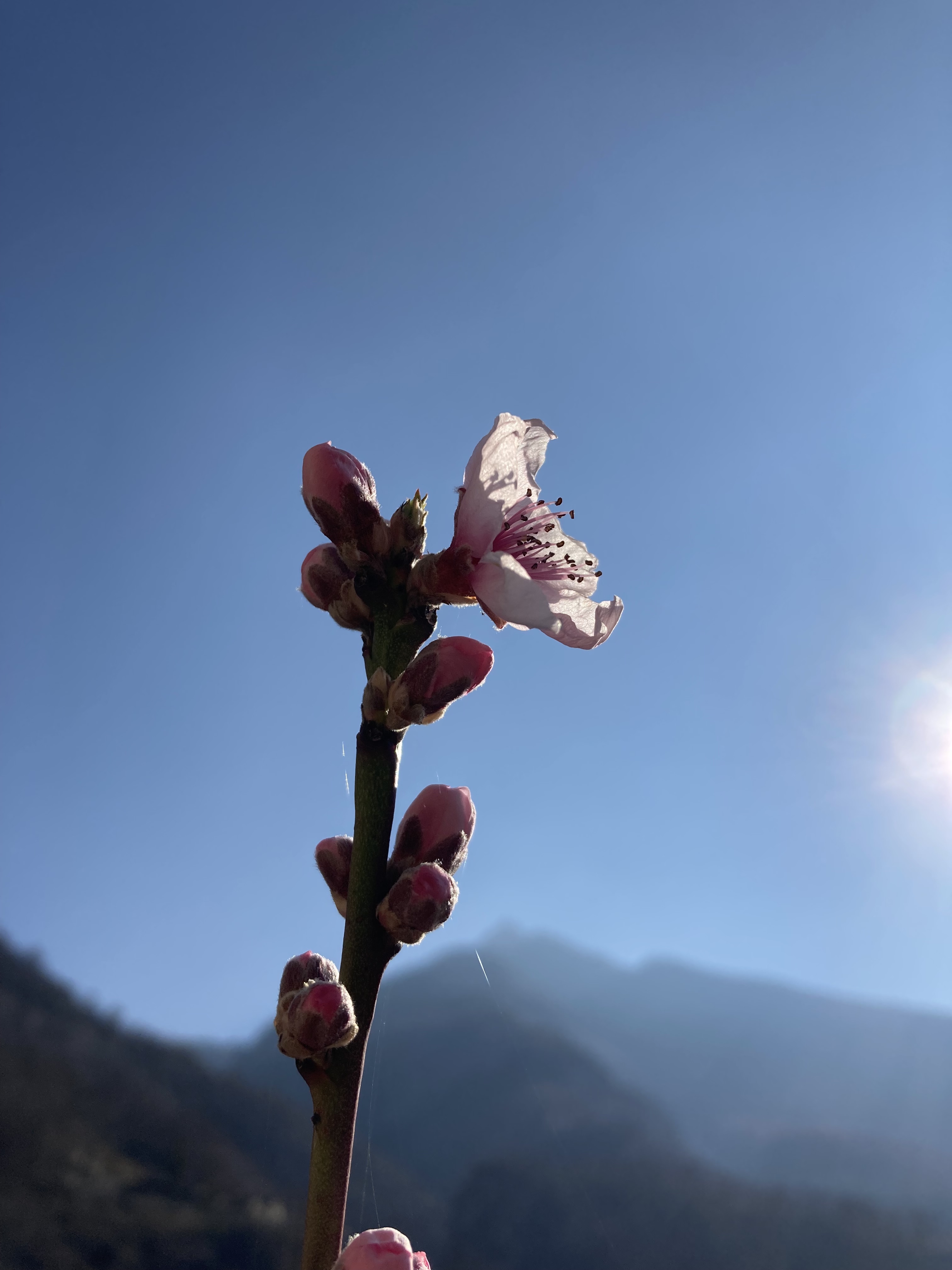Nach oben